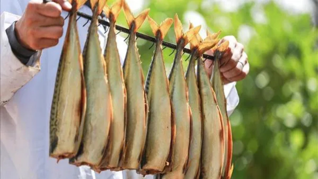 Foto - Türkiye’de milyonlarca kişi düzenli olarak tüketiyor: Sağlığa en zararlı balık türü belli oldu! Çok ama çok şaşıracaksınız