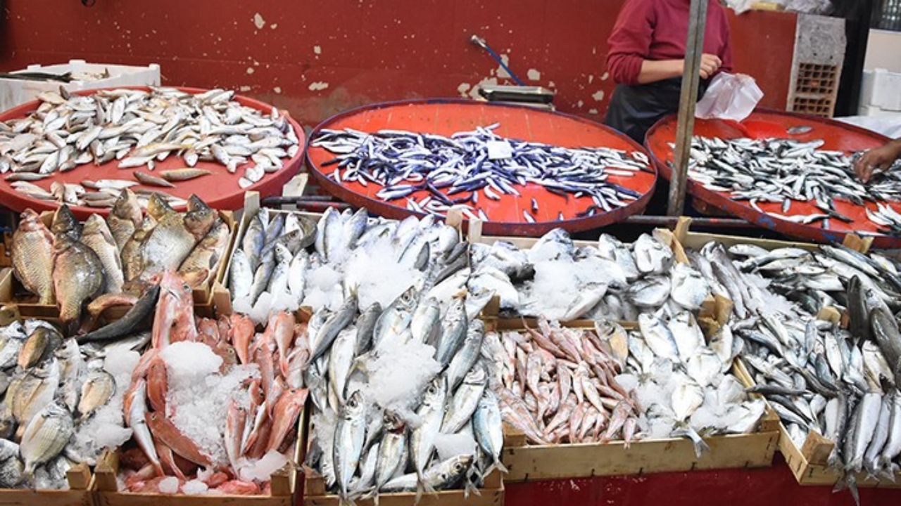 Türkiye’de milyonlarca kişi düzenli olarak tüketiyor: Sağlığa en zararlı balık türü belli oldu! Çok ama çok şaşıracaksınız