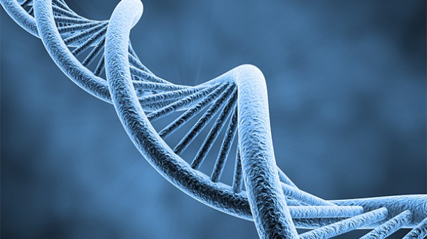 Türkiye’de Rockefeller destekli DNA araştırması! Sonuçları paylaştılar