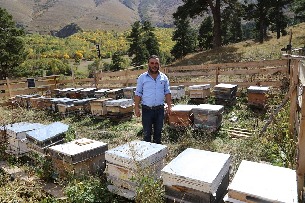 Foto - Türkiye'de sadece bu köyde bulunuyor! Şifa deposu bu gıdanın kilosu 20 bin TL