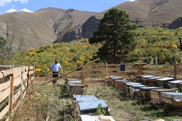 Foto - Türkiye'de sadece bu köyde bulunuyor! Şifa deposu bu gıdanın kilosu 20 bin TL