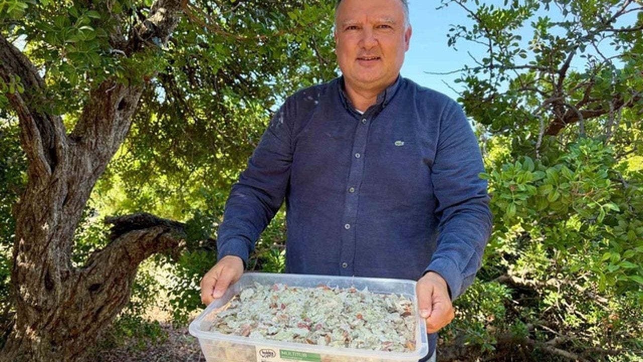 Türkiye’de sadece iki yerde yetişiyor! Kilosu 50 bin lira olan mucizevi baharat altınla yarışıyor