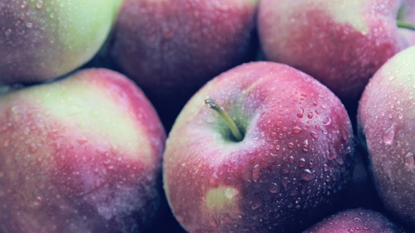 Foto - Türkiye’de sadece o köyde yetişiyor! Şeker hastalığına şifa, tok tutma garantili