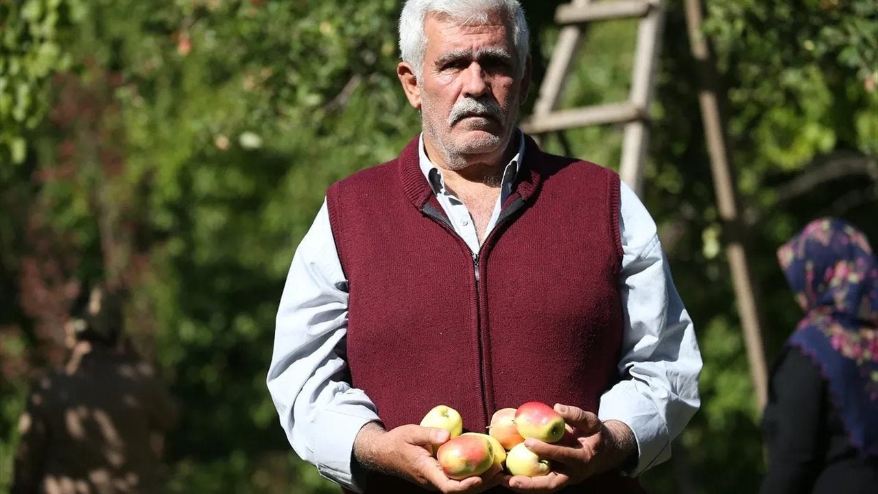 Foto - Türkiye’de sadece tek bir ilçede yetişiyor! Kışın 6 ay boyunca bozulmuyor: Şekli ve aromasıyla dünyada eşi benzeri yok