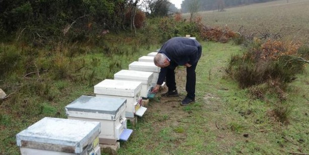 Foto - Türkiye'de son yılların en kurak kışı yaşanıyor! Tamamen arılarımızı soğuk hava depolarında bekletebiliriz