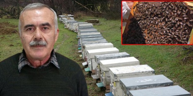 Foto - Türkiye'de son yılların en kurak kışı yaşanıyor! Tamamen arılarımızı soğuk hava depolarında bekletebiliriz