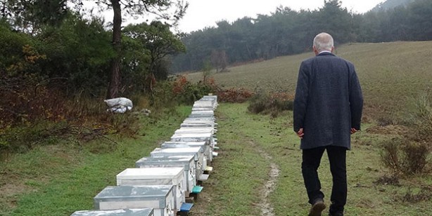 Foto - Türkiye'de son yılların en kurak kışı yaşanıyor! Tamamen arılarımızı soğuk hava depolarında bekletebiliriz