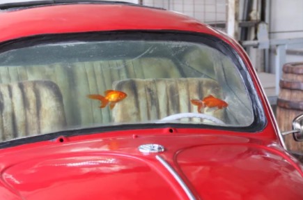 Foto - Türkiye'de tek! Özelliğine çok şaşıracaksınız