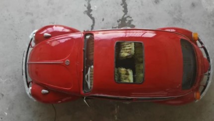 Foto - Türkiye'de tek! Özelliğine çok şaşıracaksınız