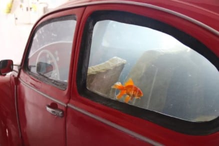 Foto - Türkiye'de tek! Özelliğine çok şaşıracaksınız