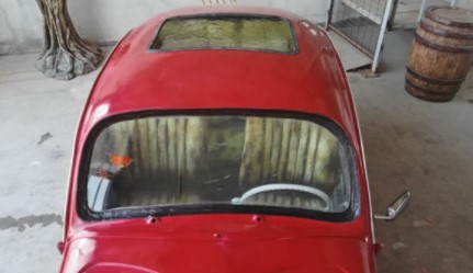 Foto - Türkiye'de tek! Özelliğine çok şaşıracaksınız