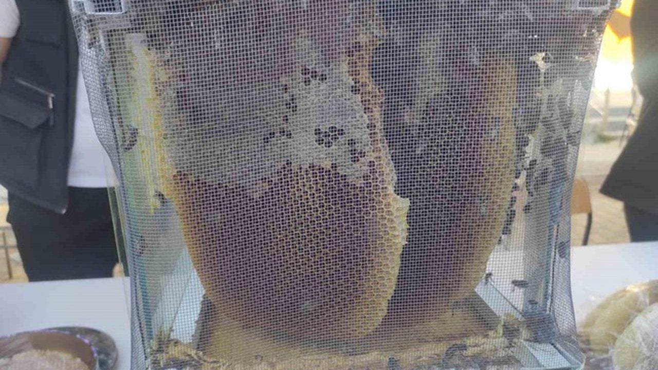 Foto - Türkiye’de üretildi, 1 kilosuna servet ödendi! Açık artırmada tam 400 bin TL’ye güle oynaya satıldı