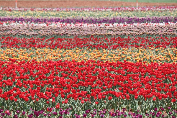 Foto - Türkiye'de üretildi... 10'dan fazla ülkeye ihraç ediliyor