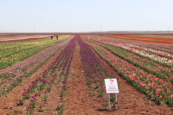 Foto - Türkiye'de üretildi... 10'dan fazla ülkeye ihraç ediliyor
