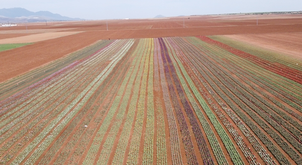Foto - Türkiye'de üretildi... 10'dan fazla ülkeye ihraç ediliyor