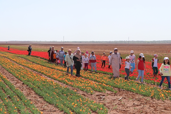 Foto - Türkiye'de üretildi... 10'dan fazla ülkeye ihraç ediliyor