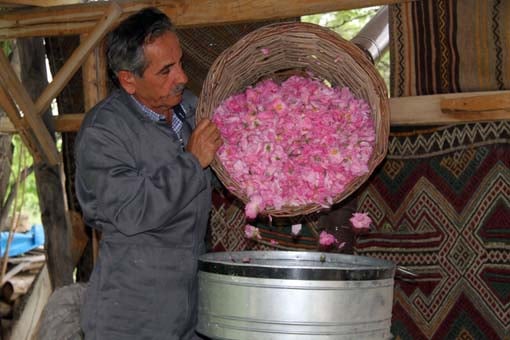 Foto - Türkiye'de üretilip dünyaya satılıyor! Litresi 70 bin lira...