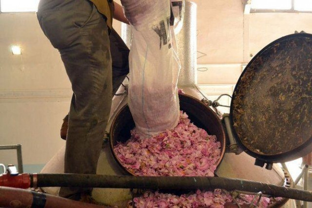 Foto - Türkiye'de üretiliyor! Kilosu tam 12 bin euro!