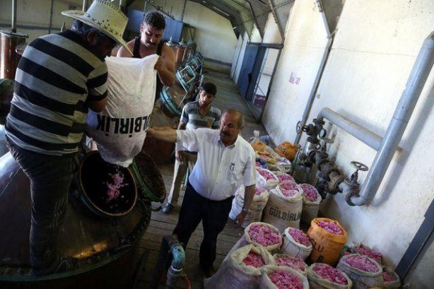 Türkiye'de üretiliyor! Kilosu tam 12 bin euro!