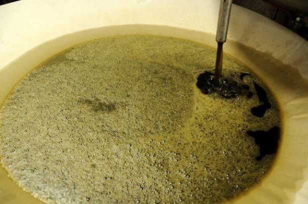 Foto - Türkiye'de üretiliyor! Kilosu tam 12 bin euro!