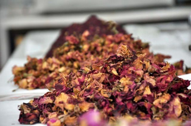 Foto - Türkiye'de üretiliyor! Kilosu tam 12 bin euro!