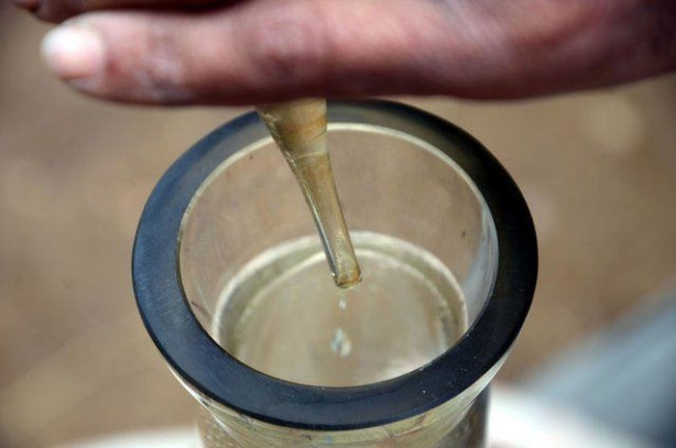 Foto - Türkiye'de üretiliyor! Kilosu tam 12 bin euro!