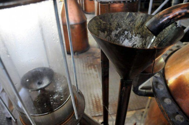 Foto - Türkiye'de üretiliyor! Kilosu tam 12 bin euro!