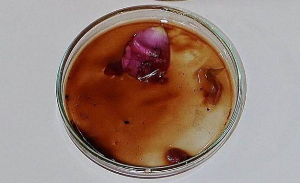 Foto - Türkiye'de üretiliyor! Kilosu tam 12 bin euro!