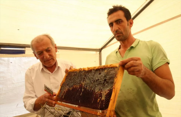 Foto - Türkiye’de üretiliyor! Rakiplerini ezdi geçti