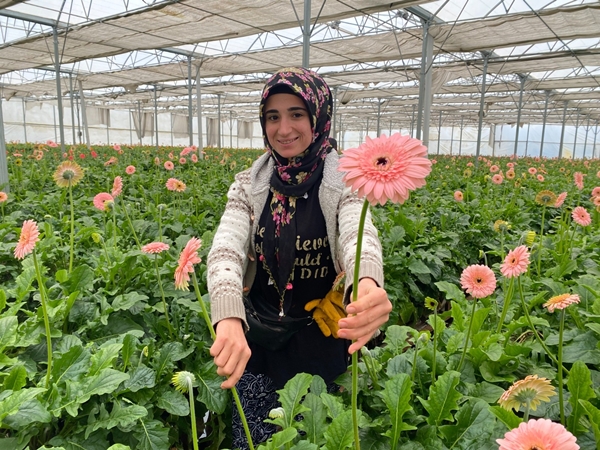 Foto - Türkiye'de üretti... Yurt dışına iki katı fiyata satıyor