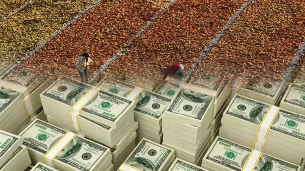 Türkiye'de yapılıyor, 104 ülkeye ihraç ediliyor! Üreticiler adeta servet getiriyor! 500 milyon dolar gelir