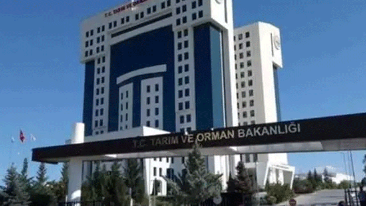 Foto - Türkiye'de yasal olarak üretiliyor: Gramı tam 10 bin dolar!