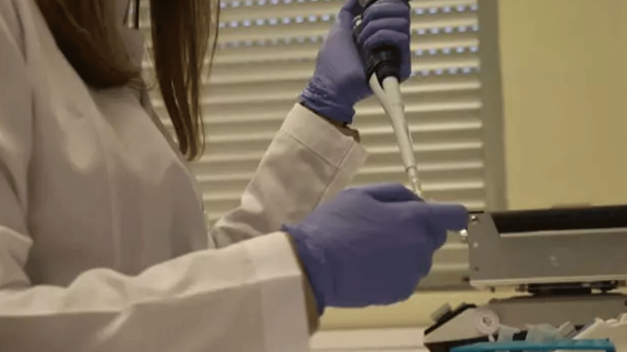 Foto - Türkiye'de yasal olarak üretiliyor: Gramı tam 10 bin dolar!