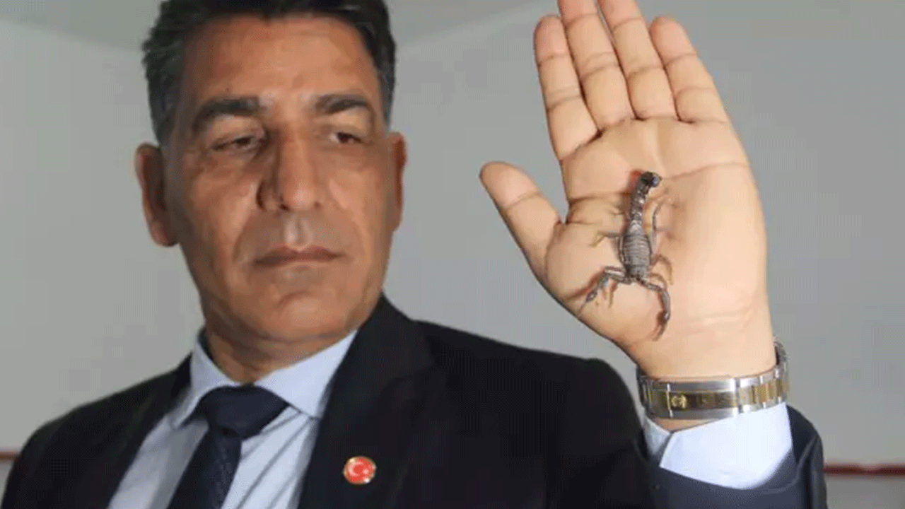 Foto - Türkiye'de yasal olarak üretiliyor: Gramı tam 10 bin dolar!