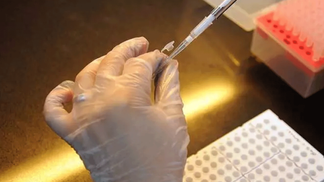 Foto - Türkiye'de yasal olarak üretiliyor: Gramı tam 10 bin dolar!