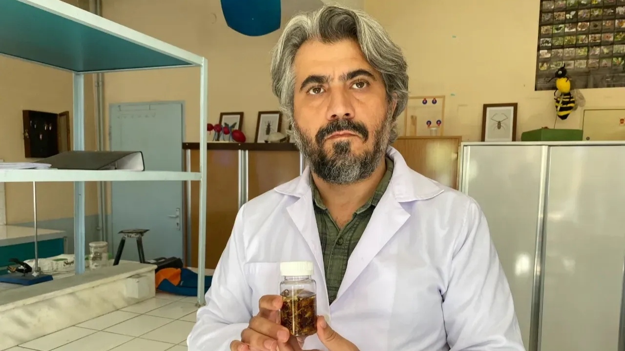 Türkiye'de yeni bir akrep türü keşfedildi! Keşfi yana Profesör bakın kimin ismini verdi 