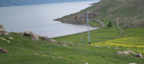 Foto - Türkiye'de yeni bir bitki türü keşfedildi! Bakın ismi ne oldu!