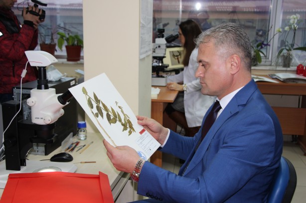 Foto - Türkiye'de yeni bir bitki türü keşfedildi! Bakın ismi ne oldu!