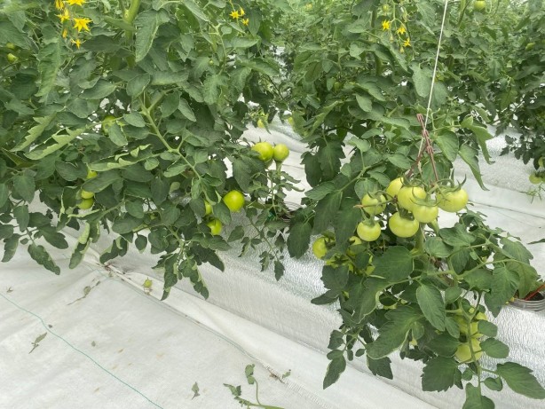 Foto - Türkiye’de yeni dönem! İlk kez uygulanan sistemde müjdeli haber