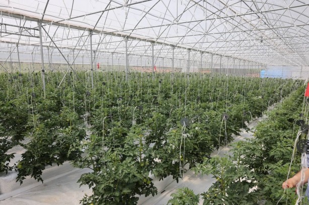 Foto - Türkiye’de yeni dönem! İlk kez uygulanan sistemde müjdeli haber