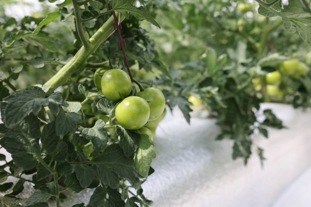 Foto - Türkiye’de yeni dönem! İlk kez uygulanan sistemde müjdeli haber