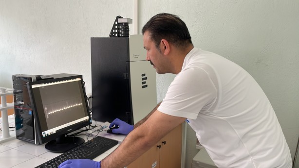 Foto - Türkiye'de yeni mantar türü keşfedildi