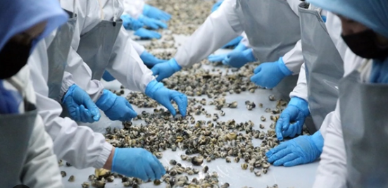 Foto - Türkiye'de kimse yüzüne bakmıyor, asla yenmiyor ama 7 ülke havada kapıyor! Satın almak için kapımızda yatıyorlar