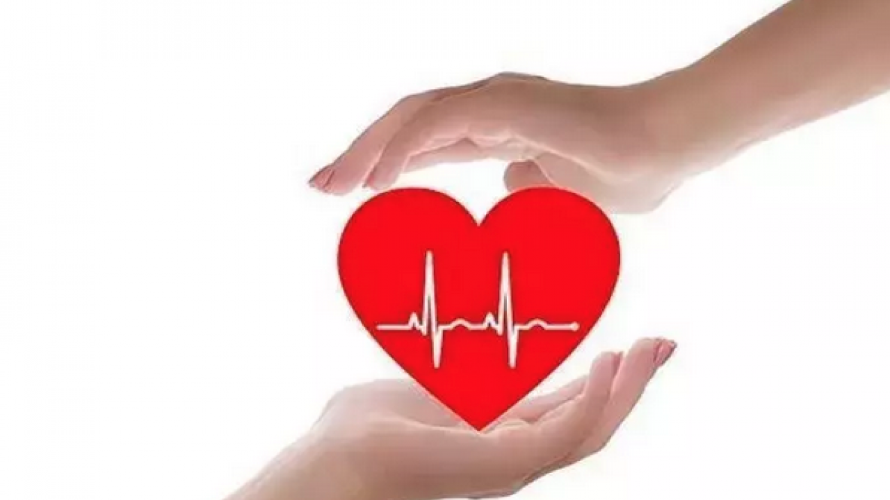 Foto - Türkiye'de yeterli ilgiyi görmüyor: Damar genişleten tek meyve! Tansiyonu 12.8'e sabitliyor: Şifa kaynağı