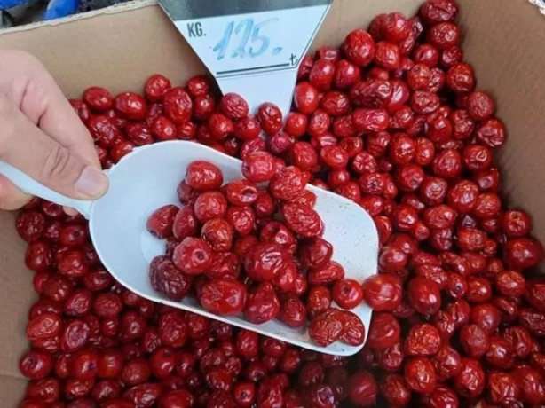 Foto - Türkiye’de yetişiyor, Japonlar ve Çinliler avuç avuç yiyor! Bundan bir ısırık alan, biiznillah faydasını görüyor! Resmen vitamin fabrikası