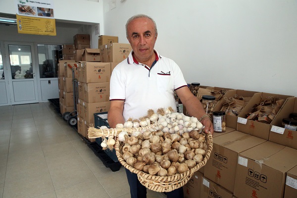 Foto - Türkiye’de yetiştirilip dünyaya satılıyor