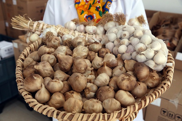 Foto - Türkiye’de yetiştirilip dünyaya satılıyor
