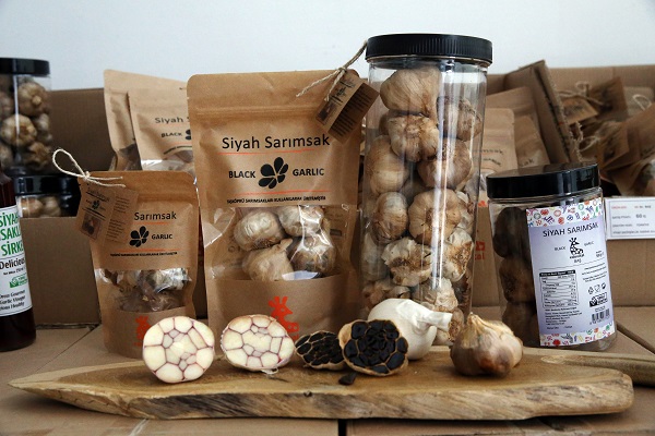 Foto - Türkiye’de yetiştirilip dünyaya satılıyor