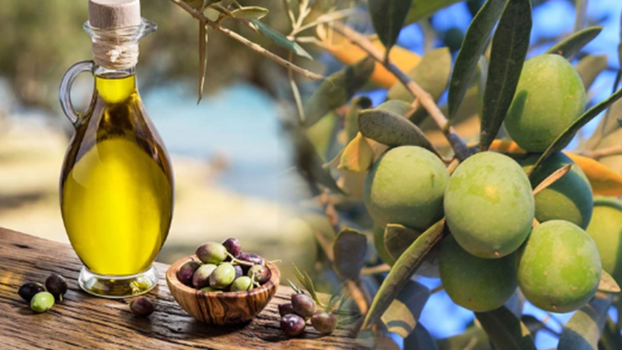 Foto - Türkiye'de zeytinyağıyla ilgili beklenmedik gelişme