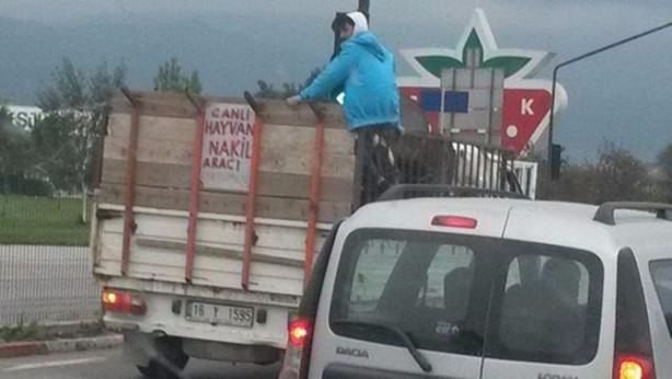 Foto - Türkiye'den komik manzaralar